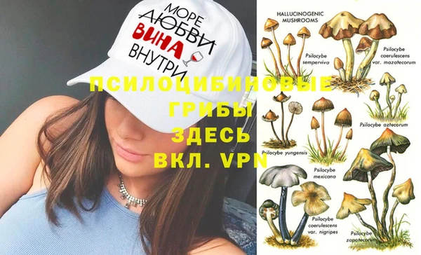 ALPHA PVP Верея