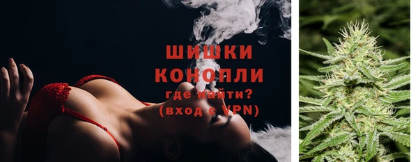 2c-b Бородино