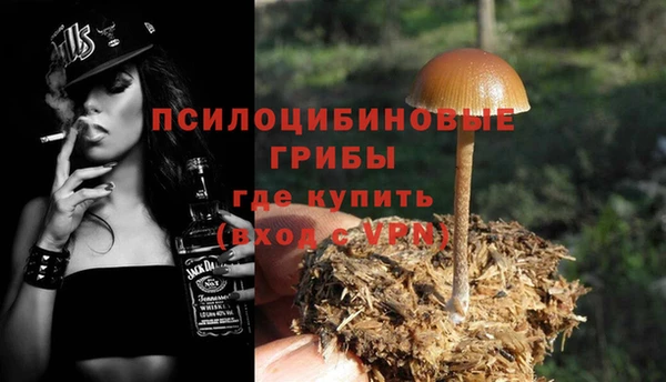 ALPHA PVP Верея