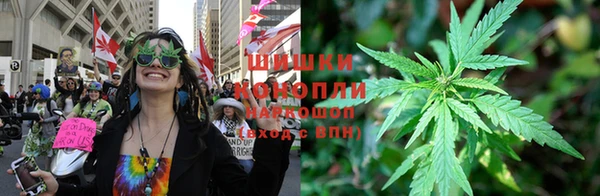 2c-b Бородино