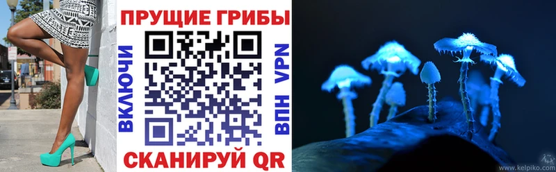 Галлюциногенные грибы Psilocybine cubensis  Городовиковск 