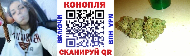 это Telegram что такое Городовиковск Бошки марихуана семена